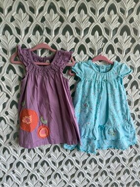 Petit Lem and Cherokee Baby Girl Dress Set, 18M